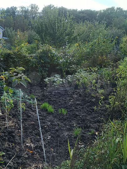 Участок 8,5 сот. (СНТ, ДНП)