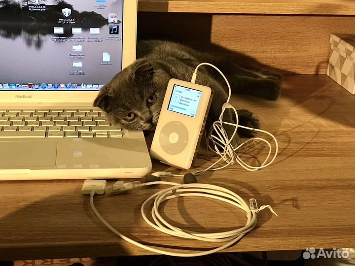 Редкий iPod photo 2004 20часов пробег