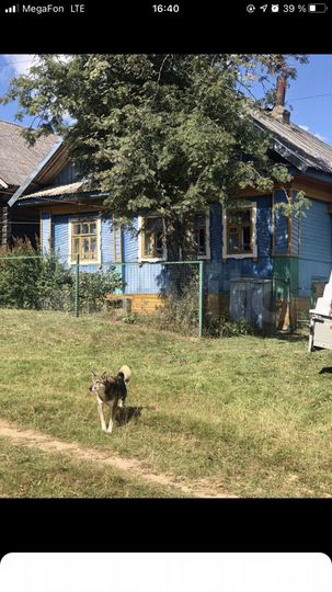 Дом 39 м² на участке 30 сот.