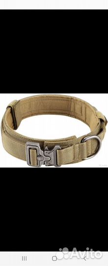 Ошейник для сабаки