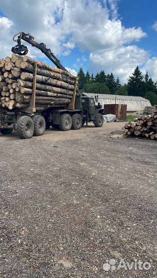 Дрова колотые береза