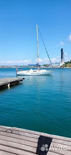 Парусная яхтa