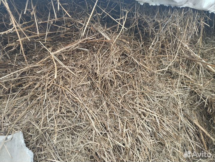 Продам зерно смесь Готовое сено Козла пламенного