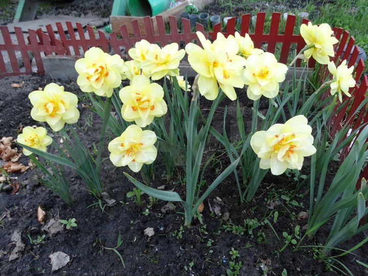 Дача 44 м² на участке 6 сот.