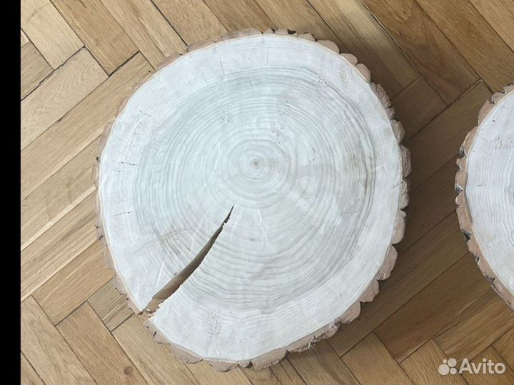 Торцевой спил тополь 1шт