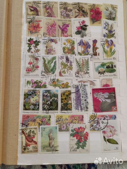 Почтовые марки