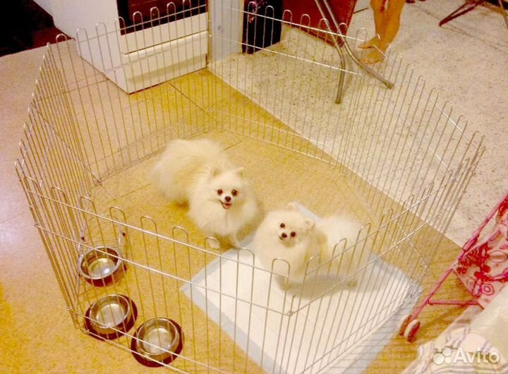 Клетка для животных