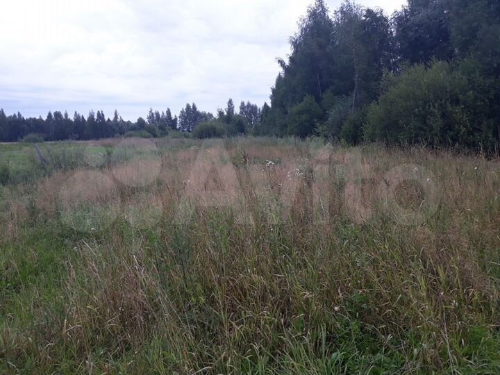 Дом 60 м² на участке 45 сот.