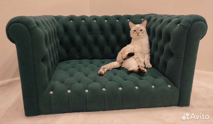 Диван/лежанка Честер изумрудный для животных