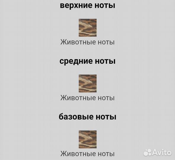 Rammstein Zwinger. Отливант парфюма