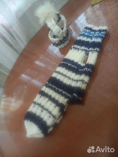 Одежда для собак