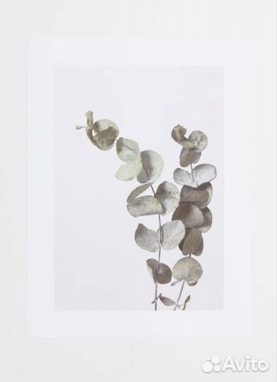 Постер в тубусе hm home