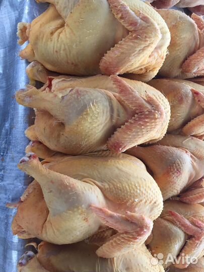 Куры бройлеры