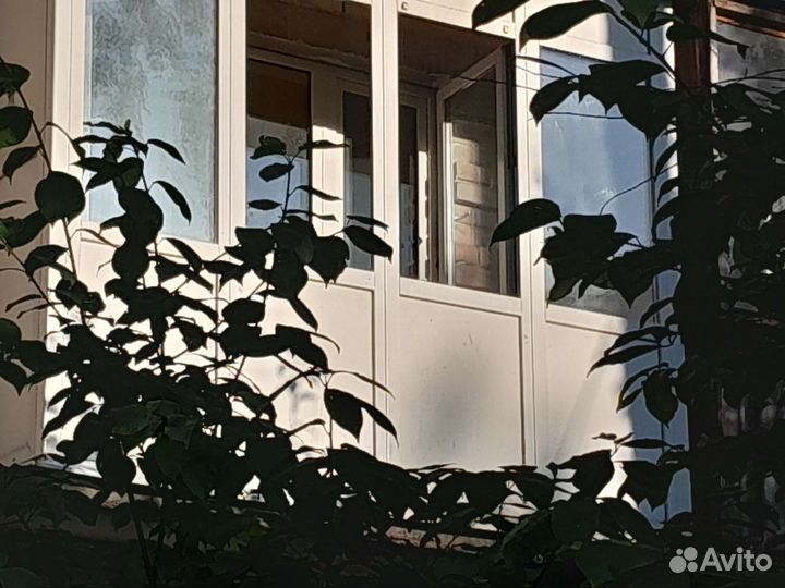 Окна пластиковые