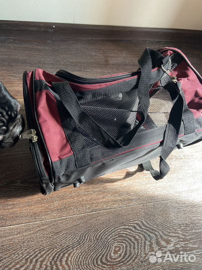 Сумка для животных