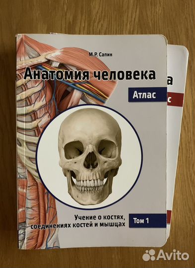 Атлас анатомии человека М.Р.Сапин