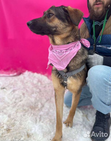 Берта, живущая в приюте