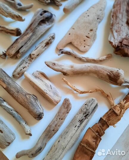 Дрифтвуд Чёрного моря (набор)