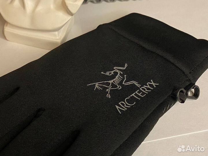 Перчатки мужские Arcteryx