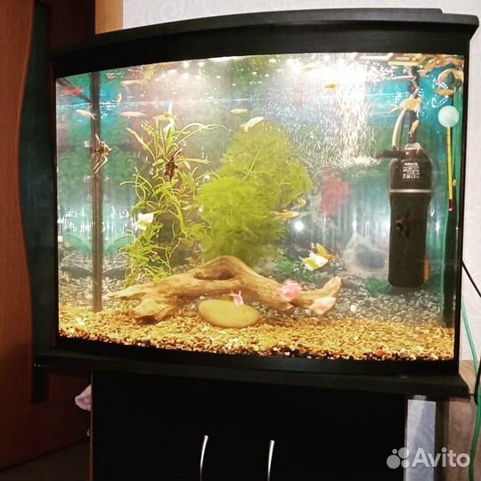 Аквариум 110 л. сферический