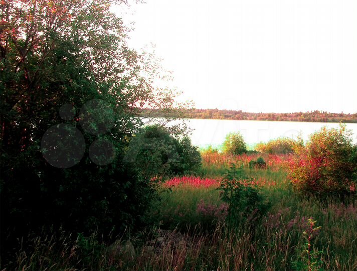 Участок 100 сот. (ИЖС)