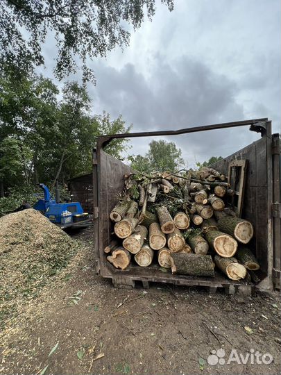 Измельчение веток. Аренда дробилки