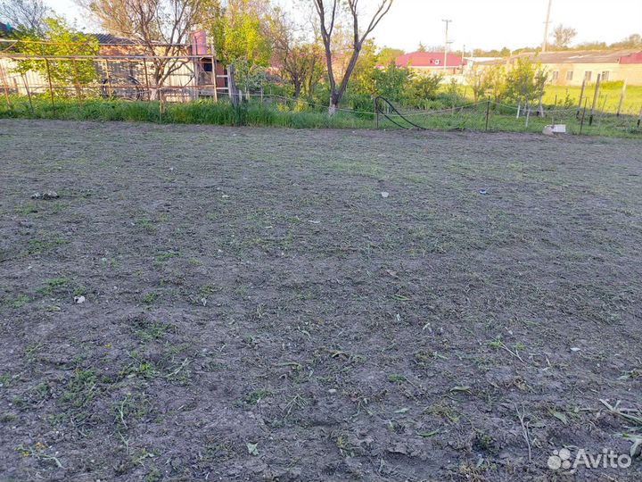 Покос травы