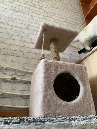 Домик для кошки