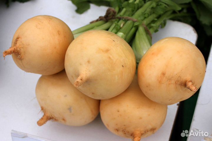 Семена репы