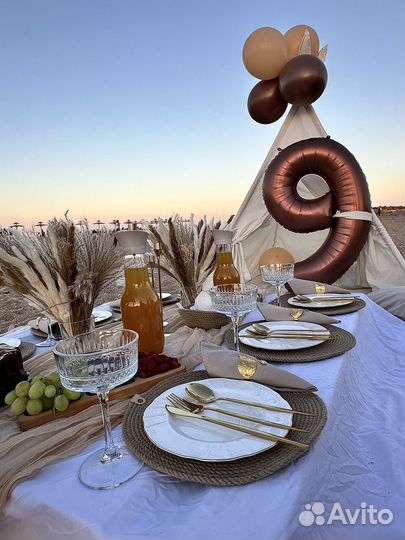 Аренда стола и стульев для пикника