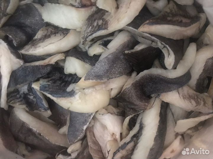 Теша палтуса