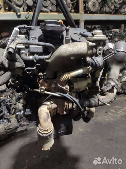 Двигатель AMF Volkswagen Polo 4 2004 1.4 TDi