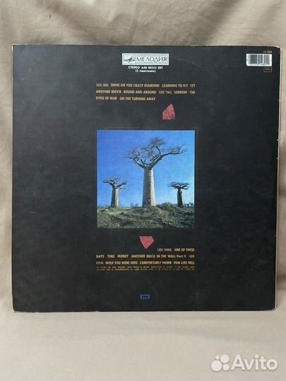 Pink floyd Delicate Sound of Thunder 2 LP (Сзр)