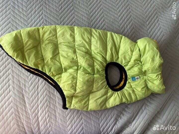 Теплая одежда для собак