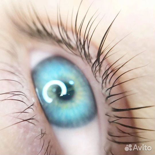 Ресницы брови