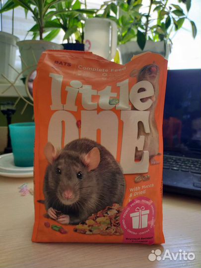 Корм с фруктами для грызунов