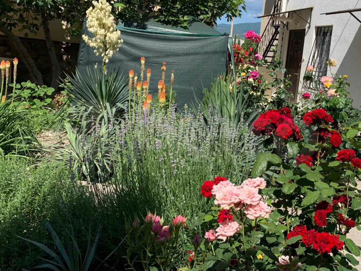 Дом 60 м² на участке 1 сот.