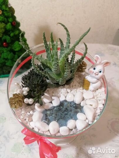 Флорариумы