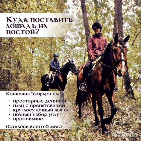 Приглашаем на постой