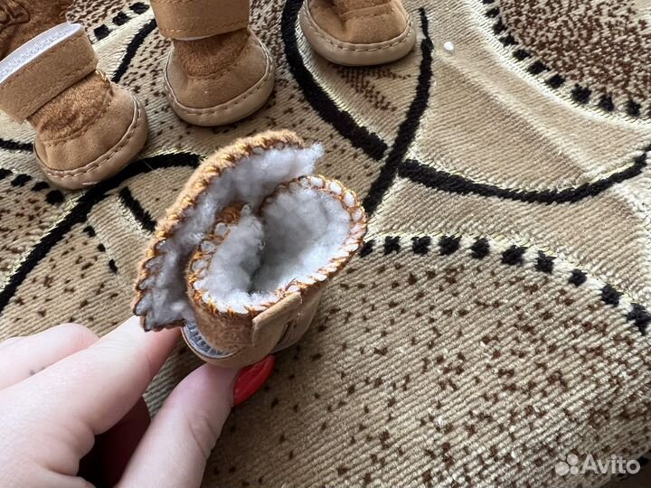 Одежда для собак