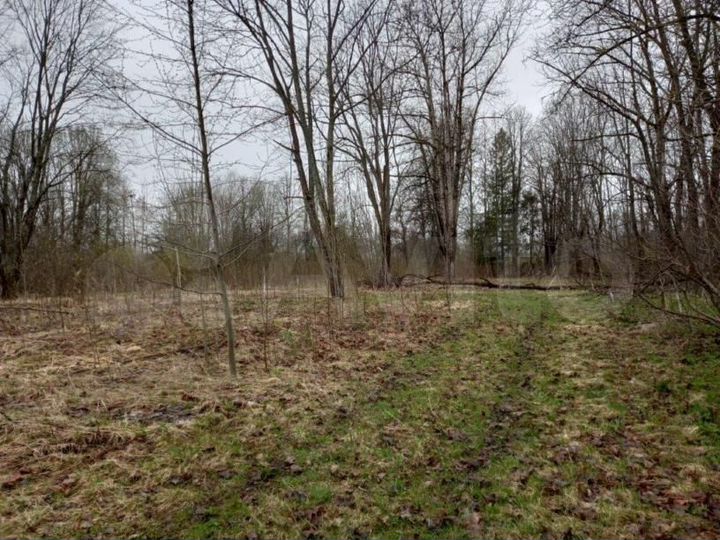 Участок 4,28 га (промназначения)