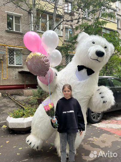 Белый мишка, панда поздравление