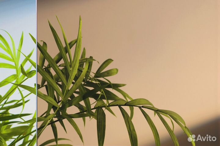 Стекла для межкомнатных дверей