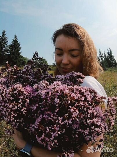 Душица матрёшка травы соцветия и букеты