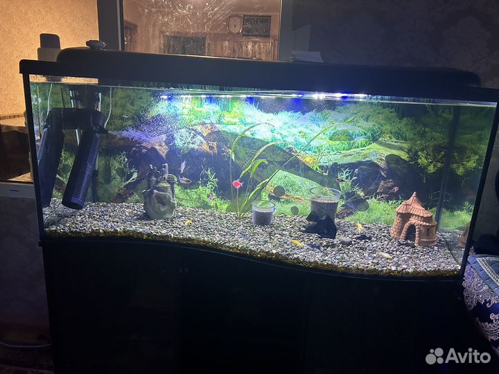 Аквариум с тумбой 240 литров