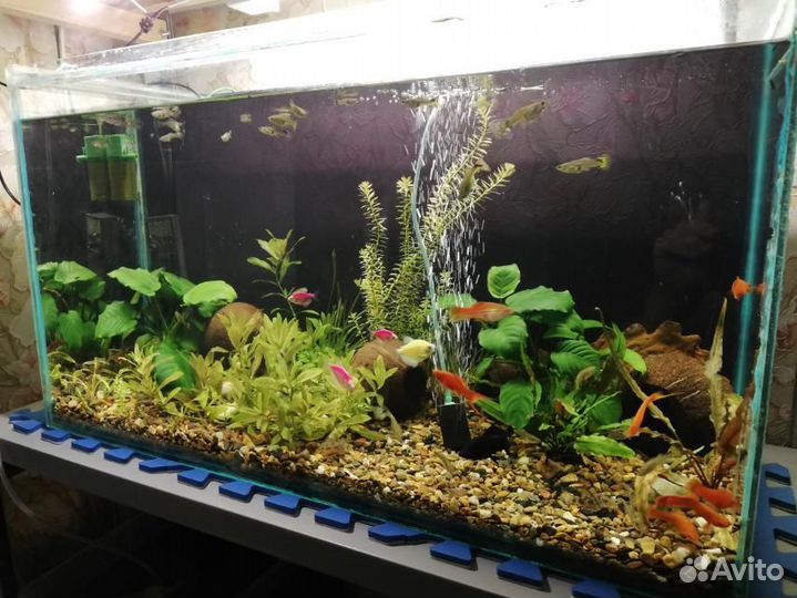 Аквариум. 2 шт