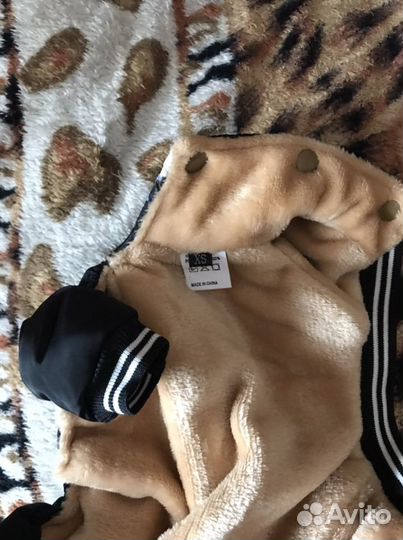 Одежда для собак