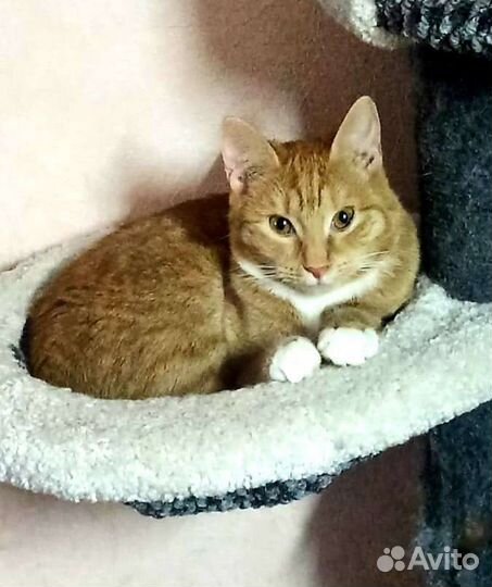 Самая озорная и добрая девочка Машуня