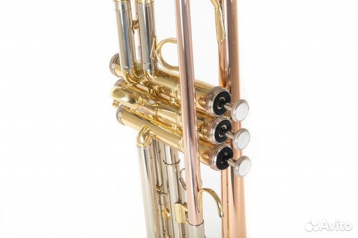 Труба Roy Benson TR-202G