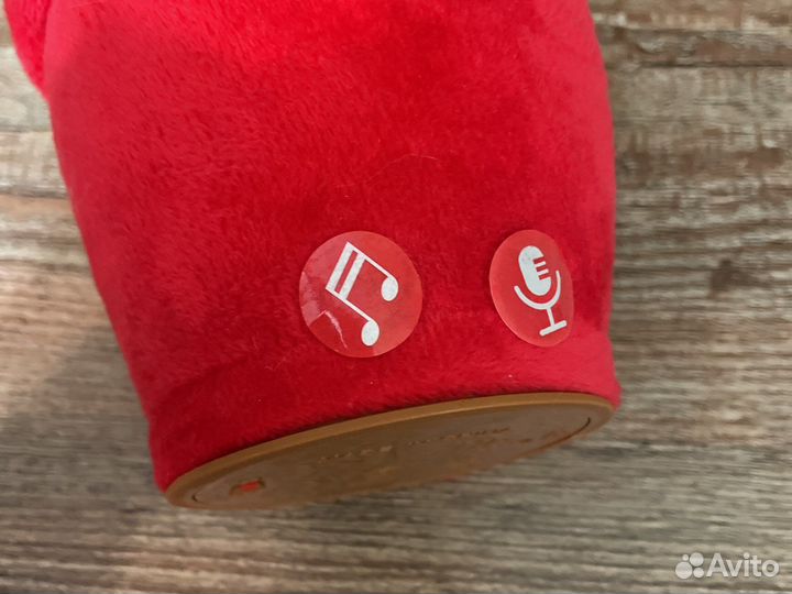 Танцующий кактус